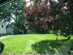 2110 Adelaide, Kalamazoo, MI