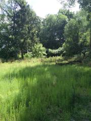 45 Whitcomb, Kalamazoo, MI