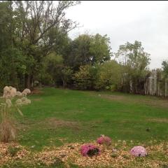 906 Portage St, Kalamazoo, MI